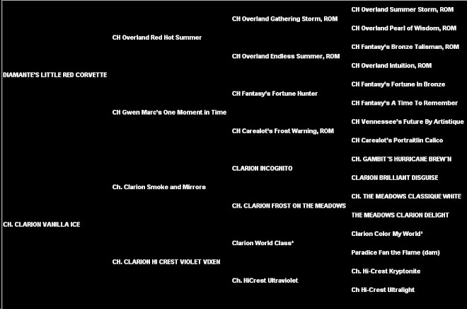 Diamante's Great Expectations