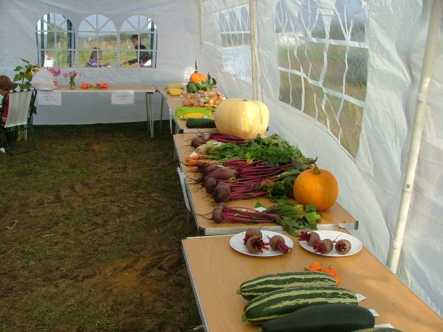 [allotment3.JPG]