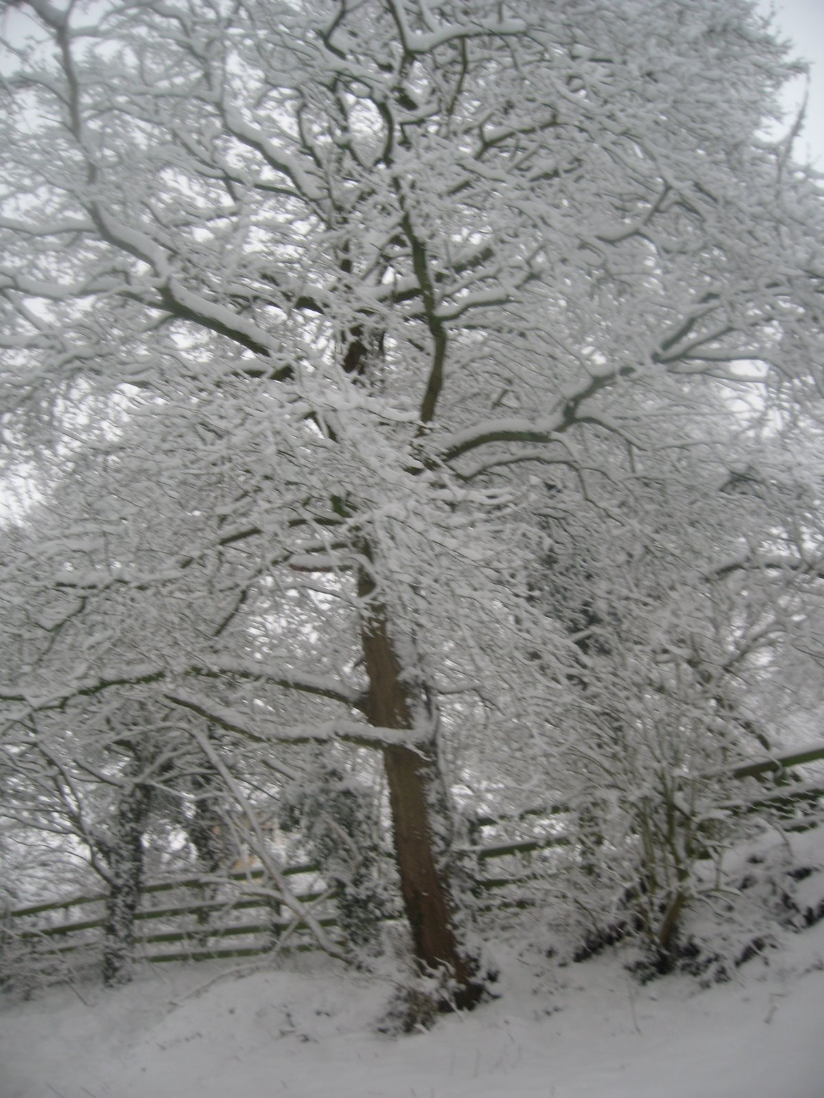 [IMG_5557.JPG]