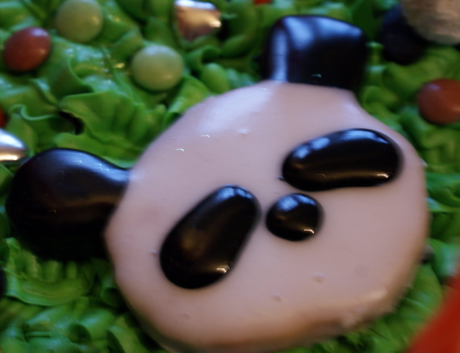 [dsc02213+(Modified).jpg]