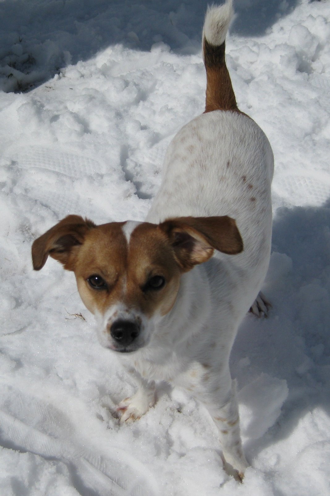 [AUSTIN+Snowday+016.jpg]