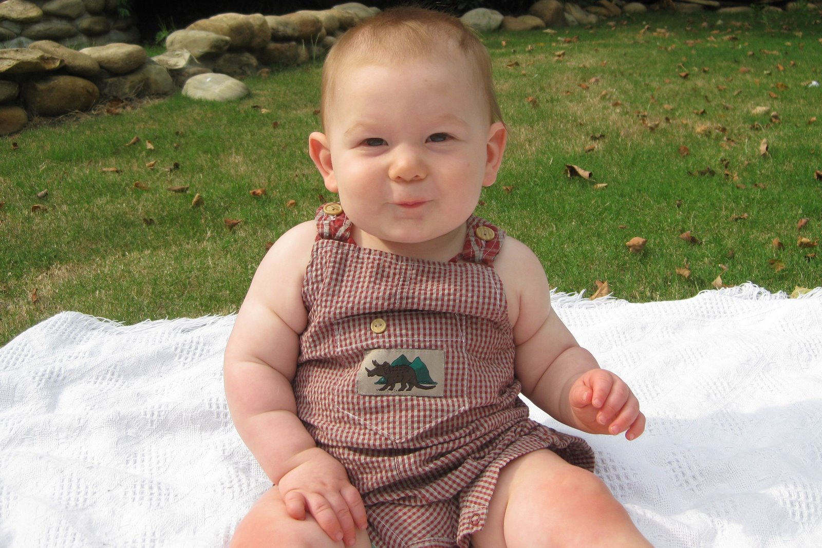 [Austin+9+mos+006.jpg]