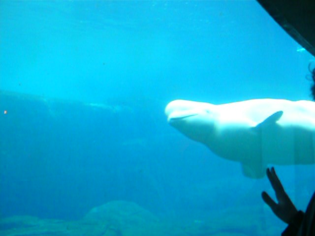 [P1050275.JPG]
