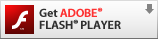 Need Adobe Flash Player?