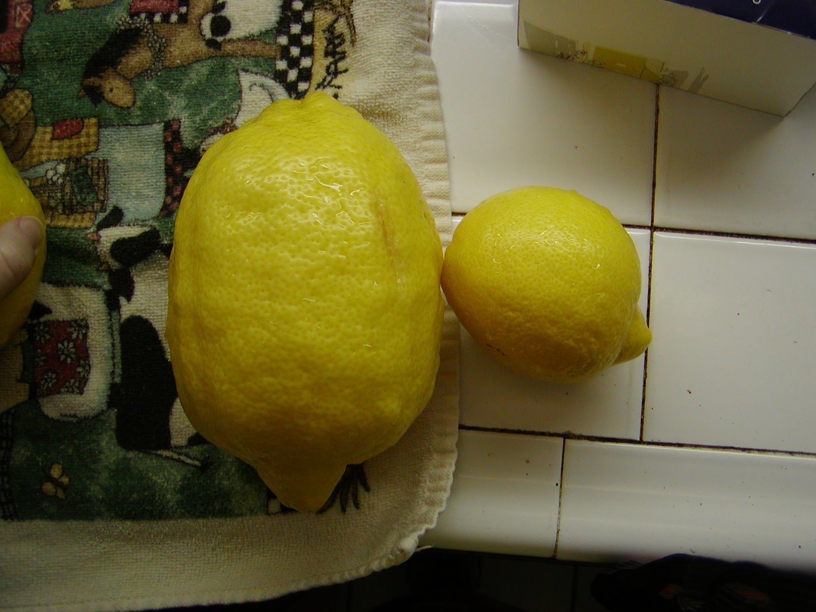 Infused Knowledge Big lemons
