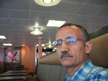 Ali Namazi