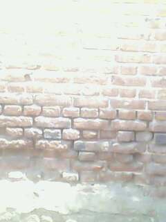 [IMG0116A.jpg]