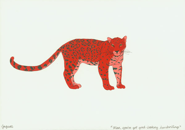 [jaguar.jpg]