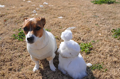 Aspiring Delta Dog with rare Florida snowman