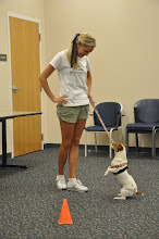 Lauren takes Bailey through the paces