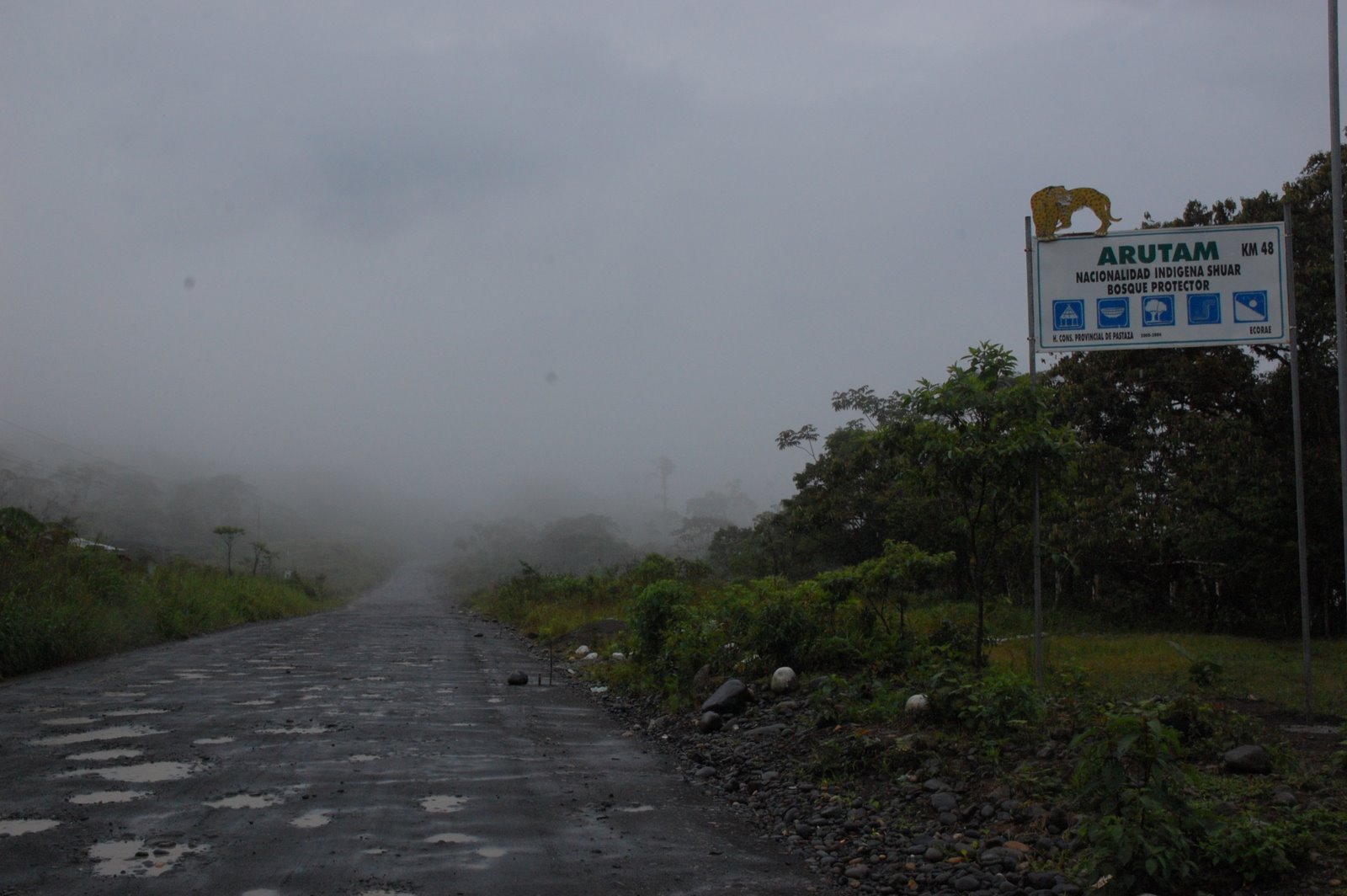 [DSC_1903.JPG]