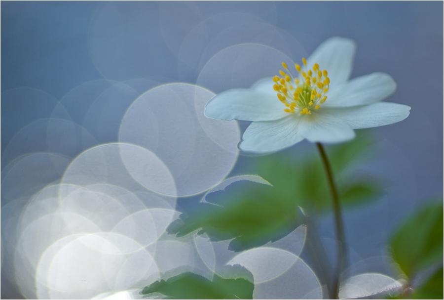 [1206832163Z7LLMmc[1].jpg]