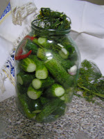 CASTRAVETI MURATI DE VARA
