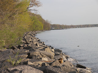 Arts And Nature In Oswego County New York On The Sunset Trail