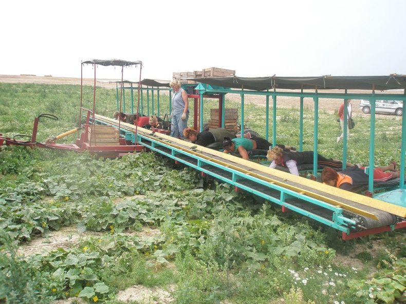 [image003.jpg]
