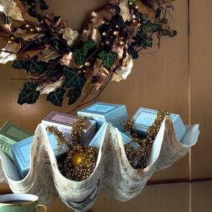 [7shells_e_6ac5d528e86f6cea1edde64c3feb5f33.jpg]