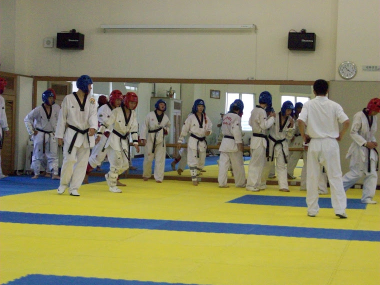Ta kwon do