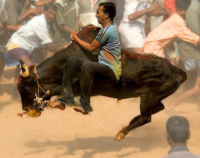 http://1.bp.blogspot.com/_myvQQsZwj4g/R4tHvwj8vOI/AAAAAAAAAWM/dWKEQEDBKTY/s400/Pongal+1.bmp