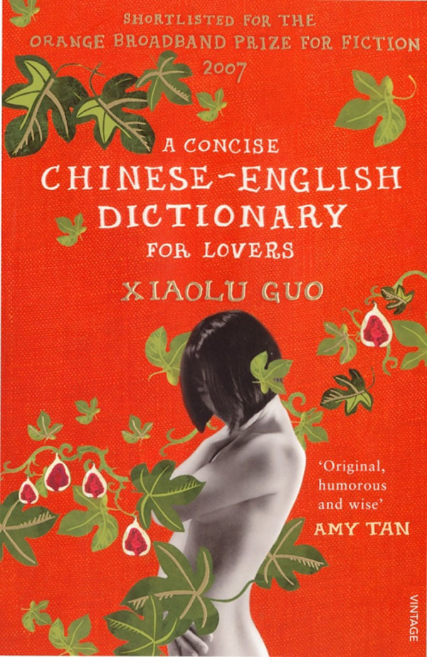 All Booked Up Book 5 review A Concise ChineseEnglish Dictionary for