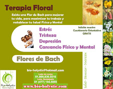 Flores de Bach