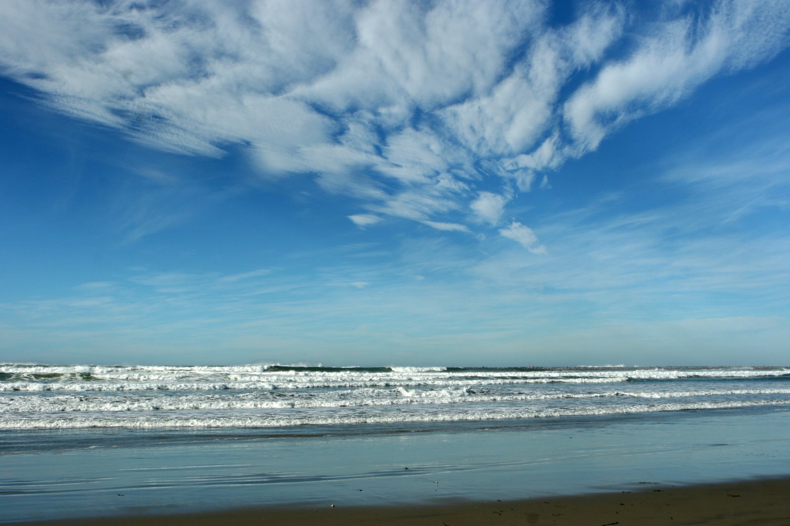 [IMG_8622_adj.jpg]