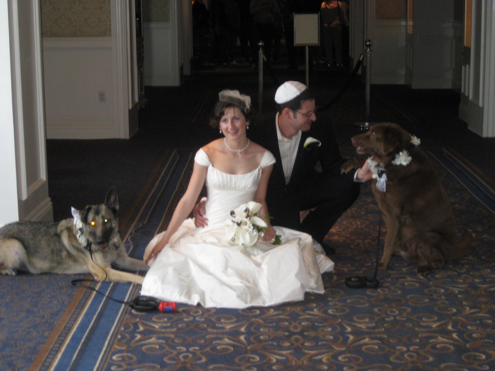 [jenya+jacob+with+dogs+in+wedding+garb.JPG]