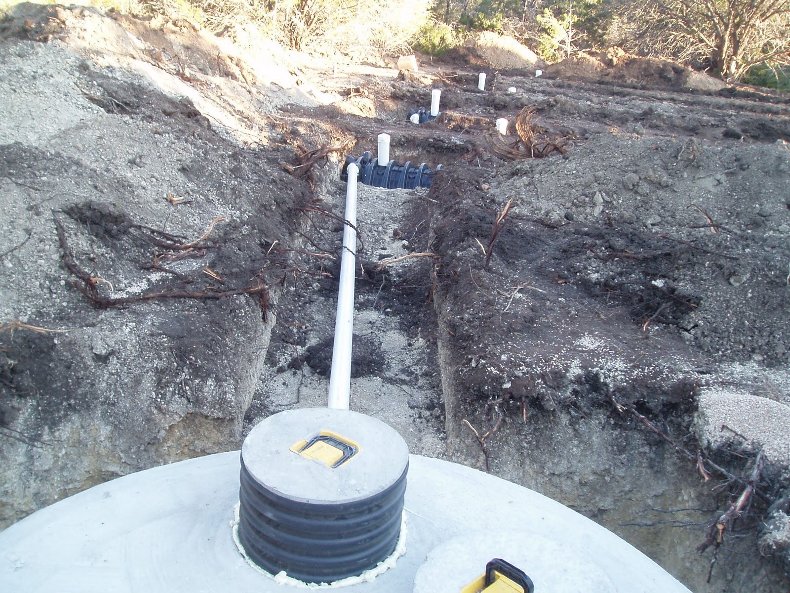 Homestead Leach Field