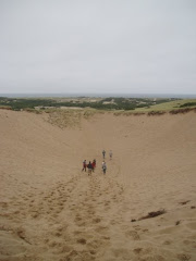 Sand dune