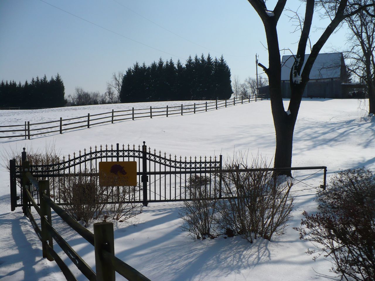 [gate+in+snow.jpg]