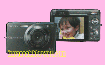DSC-W300