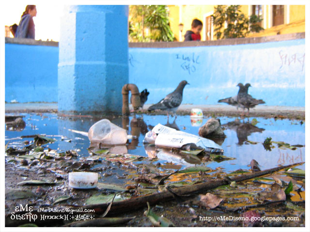 [MackAsaga_AdaptaciÃ³n.jpg]