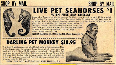 Image result for 1950s magazine ads sea monkey