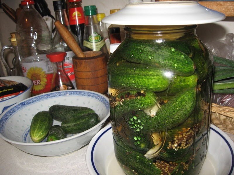 Dumneazu Cucumber Season In Depth The Jewish Pickle Explained