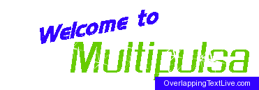 Multipulsa official website
