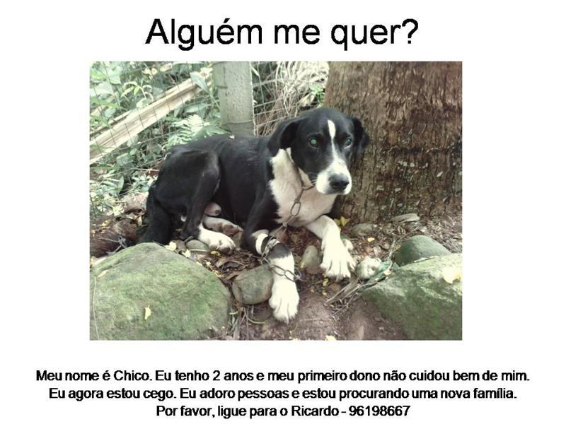 [Chico+cão...jpg]