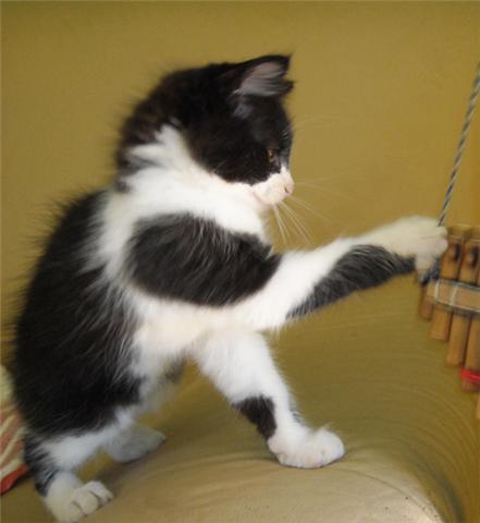 [GetAttachmentCARLBG4I.jpg]