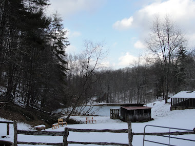 Valentine's Day North Carolina