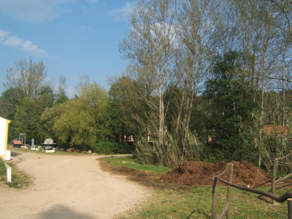 [DSCF5920.JPG]