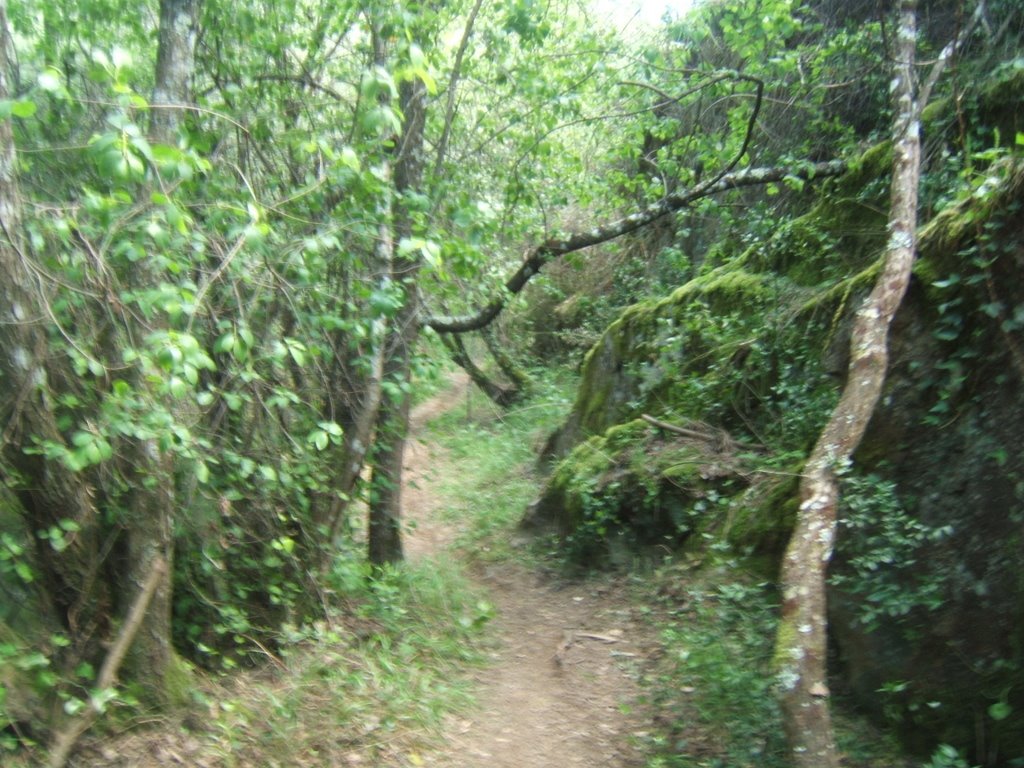 [DSCF6072.JPG]