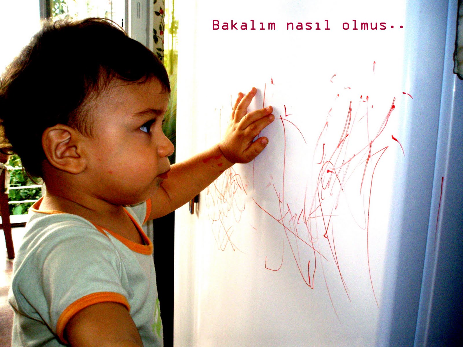 [P9160006-1.JPG]