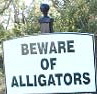 [alligators.jpg]