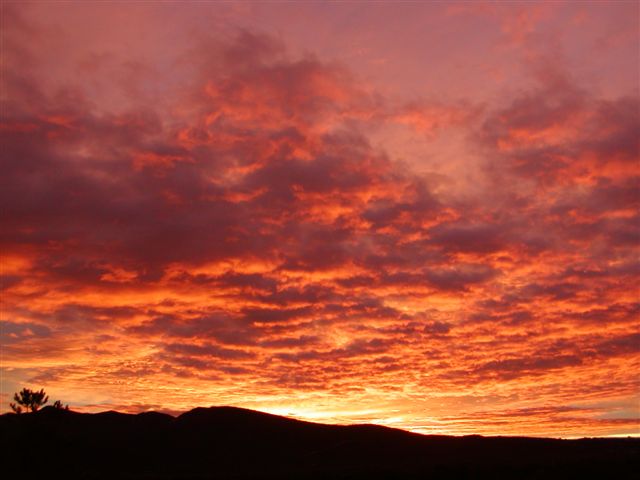 [sunrise.jpg]