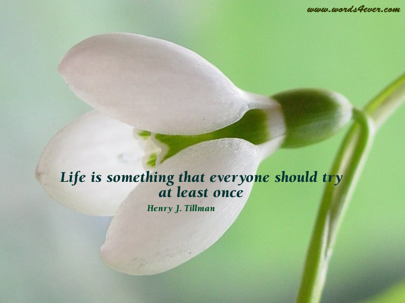 beautiful quotes on life wallpapers. quotes on life wallpapers.