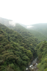 In the valley of clouds