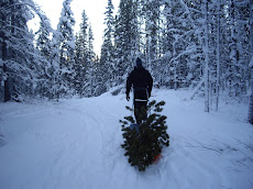Jamie Hauling Christmas Tree Home