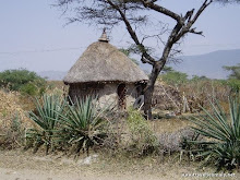 Ethiopian Hut