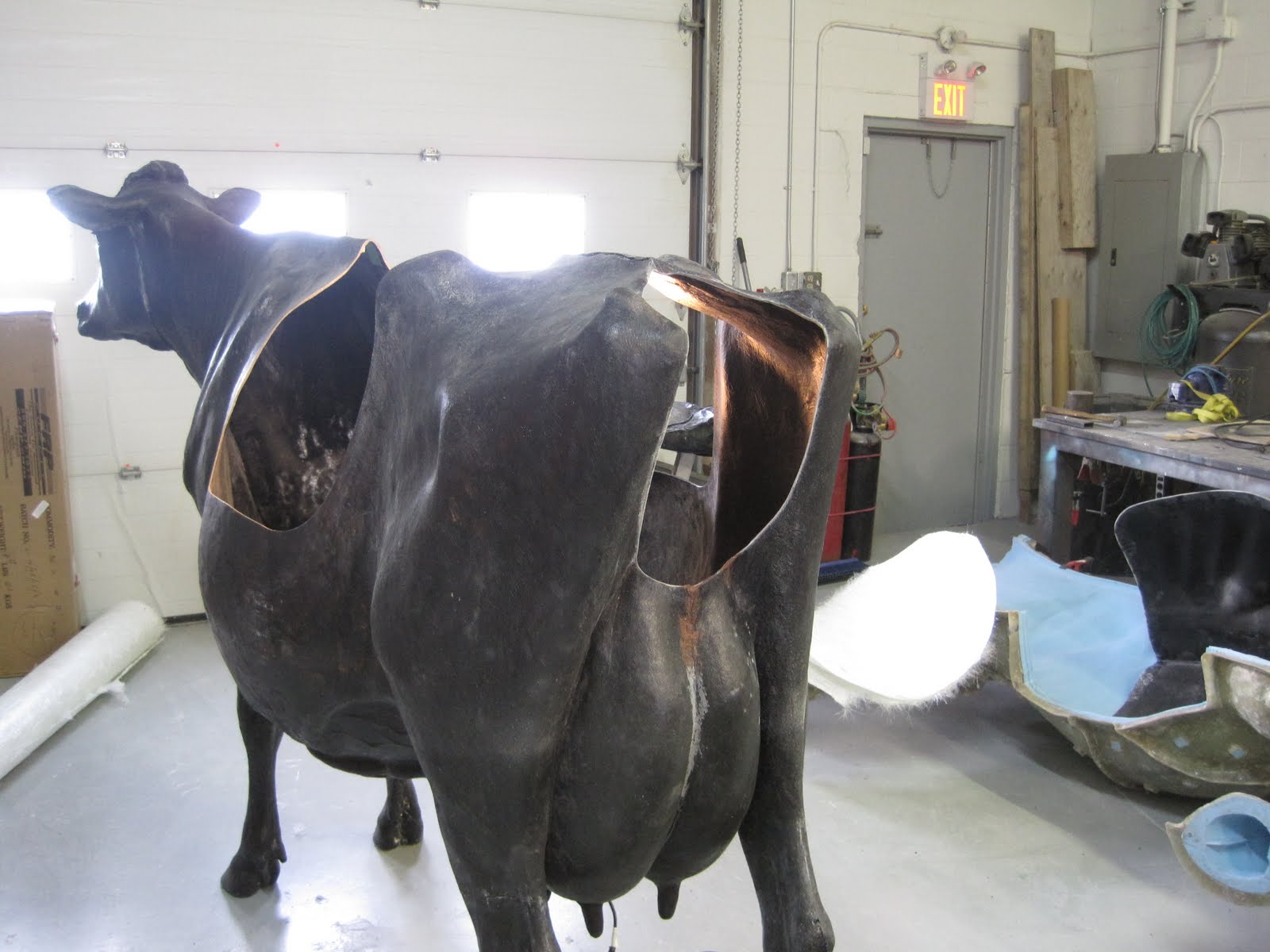calf model