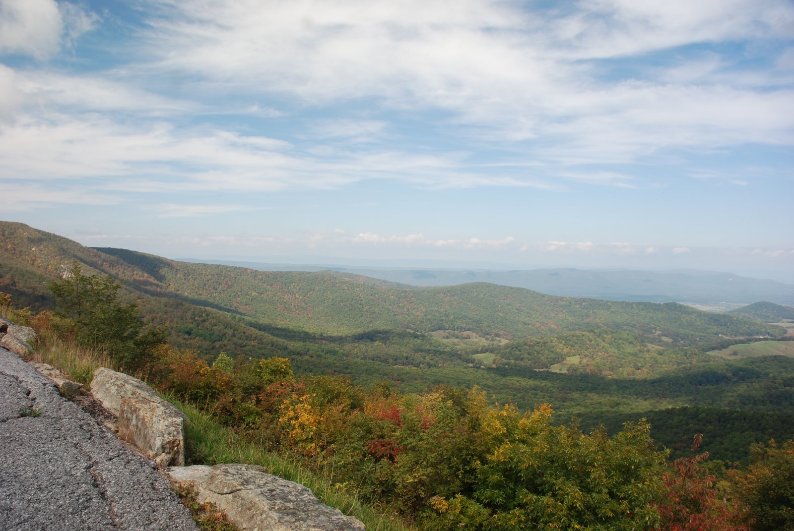 [DSC_0054.JPG]