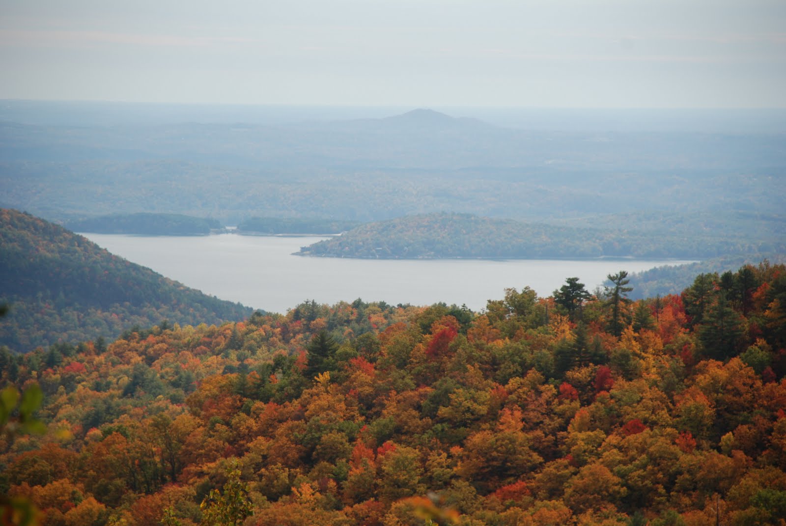 [DSC_0082.JPG]