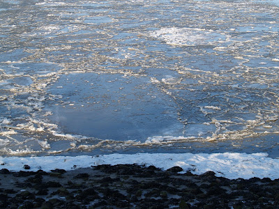 Polar Weather